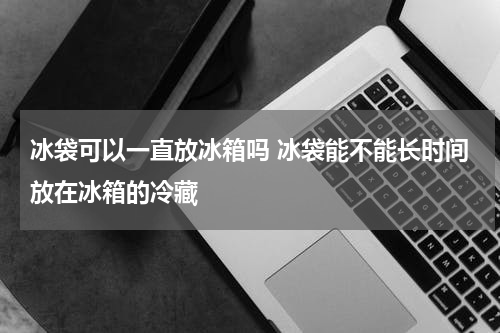 冰袋可以一直放冰箱吗 冰袋能不能长时间放在冰箱的冷藏