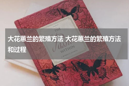 大花蕙兰的繁殖方法 大花蕙兰的繁殖方法和过程