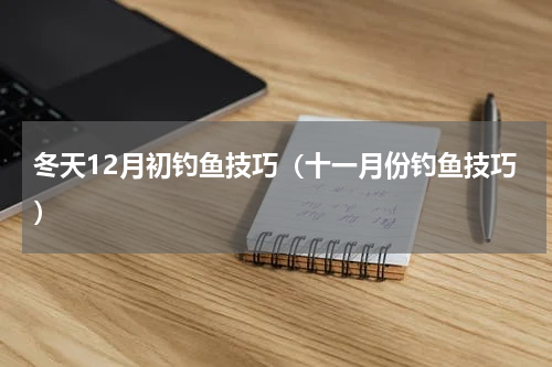冬天12月初钓鱼技巧（十一月份钓鱼技巧）