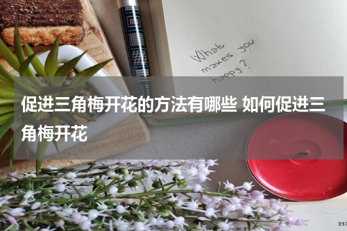 促进三角梅开花的方法有哪些 如何促进三角梅开花