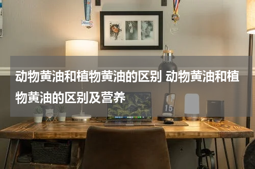 动物黄油和植物黄油的区别 动物黄油和植物黄油的区别及营养