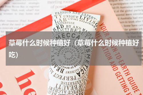 草莓什么时候种植好（草莓什么时候种植好吃）