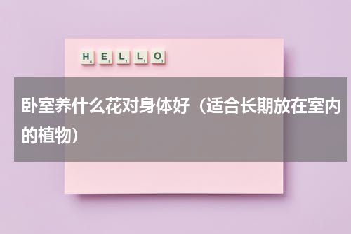 卧室养什么花对身体好（适合长期放在室内的植物）