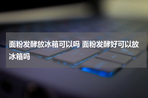 面粉发酵放冰箱可以吗 面粉发酵好可以放冰箱吗