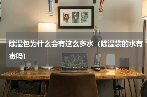 除湿包为什么会有这么多水（除湿袋的水有毒吗）