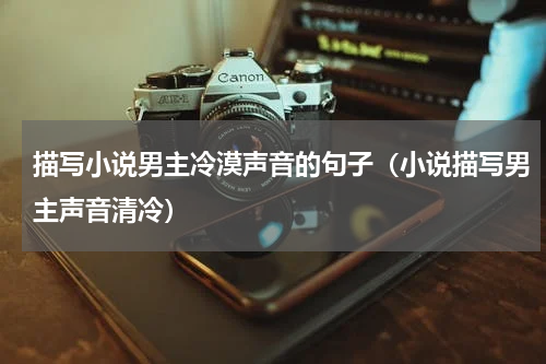 描写小说男主冷漠声音的句子（小说描写男主声音清冷）