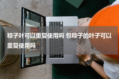 粽子叶可以重复使用吗 包粽子的叶子可以重复使用吗