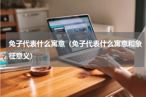 兔子代表什么寓意（兔子代表什么寓意和象征意义）