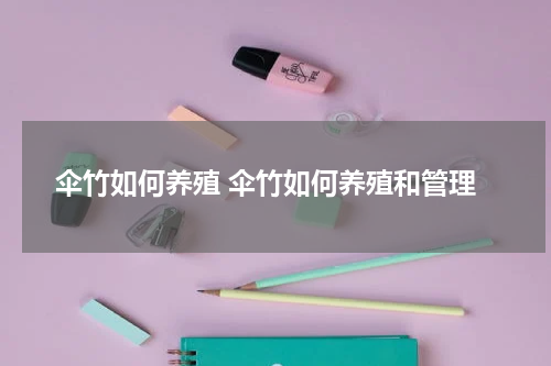 伞竹如何养殖 伞竹如何养殖和管理