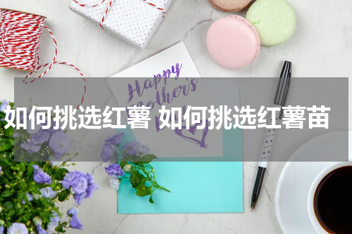 如何挑选红薯 如何挑选红薯苗