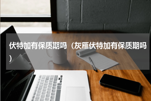 伏特加有保质期吗（灰雁伏特加有保质期吗）