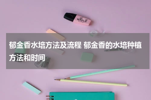 郁金香水培方法及流程 郁金香的水培种植方法和时间
