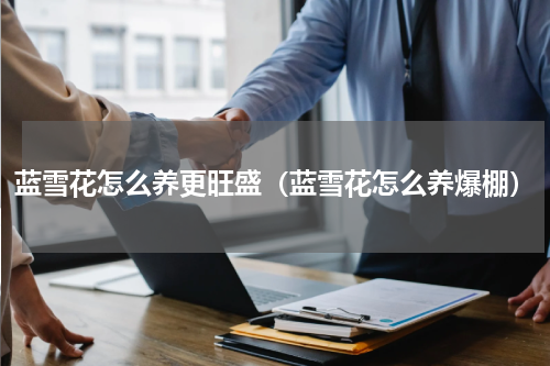 蓝雪花怎么养更旺盛（蓝雪花怎么养爆棚）