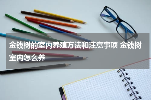 金钱树的室内养殖方法和注意事项 金钱树室内怎么养