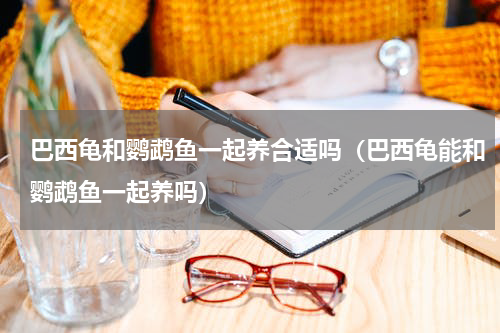 巴西龟和鹦鹉鱼一起养合适吗（巴西龟能和鹦鹉鱼一起养吗）