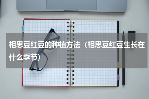 相思豆红豆的种植方法（相思豆红豆生长在什么季节）