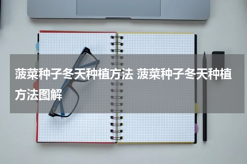 菠菜种子冬天种植方法 菠菜种子冬天种植方法图解