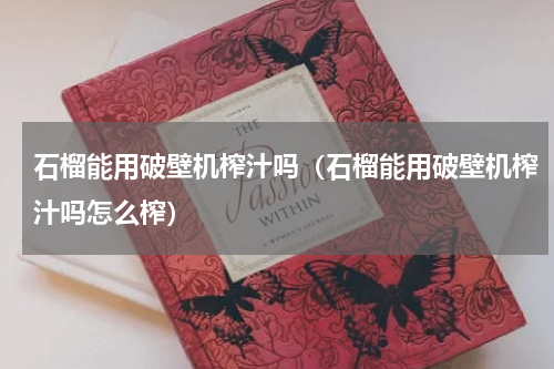 石榴能用破壁机榨汁吗（石榴能用破壁机榨汁吗怎么榨）