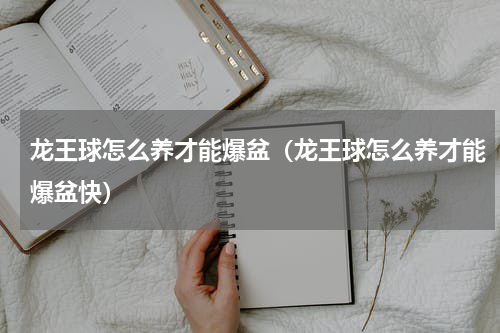 龙王球怎么养才能爆盆（龙王球怎么养才能爆盆快）