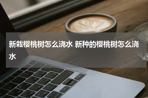 新栽樱桃树怎么浇水 新种的樱桃树怎么浇水