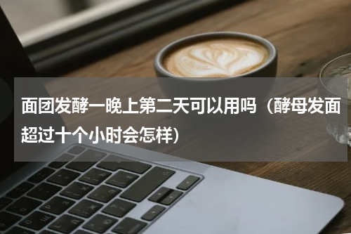 面团发酵一晚上第二天可以用吗（酵母发面超过十个小时会怎样）