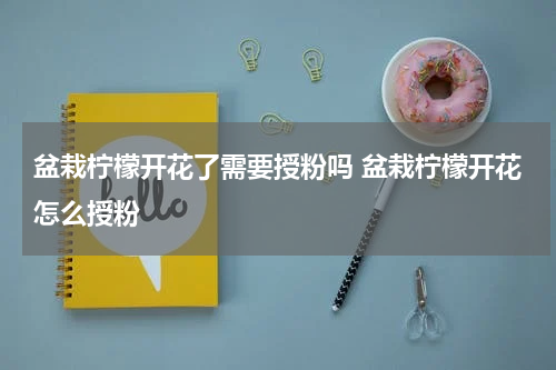 盆栽柠檬开花了需要授粉吗 盆栽柠檬开花怎么授粉