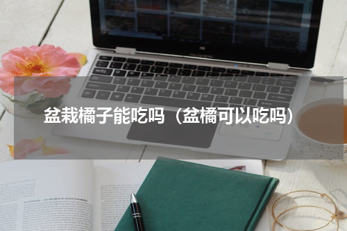 盆栽橘子能吃吗（盆橘可以吃吗）