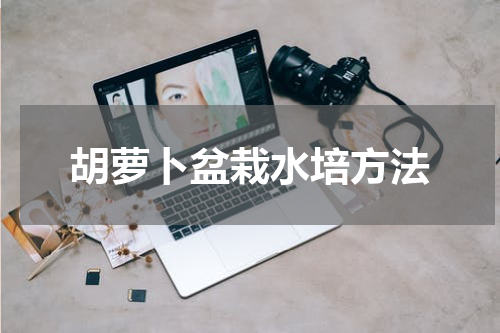 胡萝卜盆栽水培方法