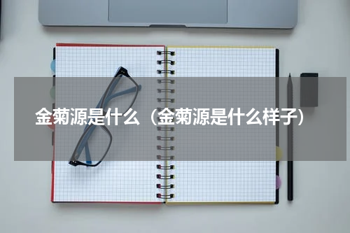 金菊源是什么（金菊源是什么样子）