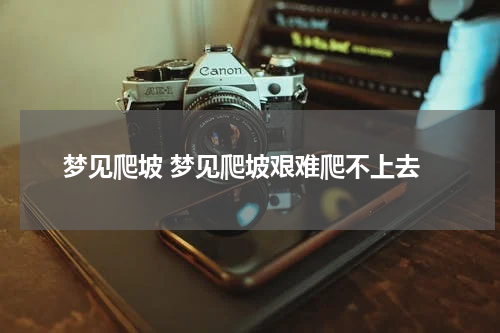 梦见爬坡 梦见爬坡艰难爬不上去