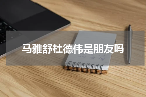 马雅舒杜德伟是朋友吗