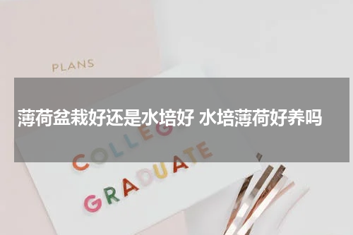 薄荷盆栽好还是水培好 水培薄荷好养吗