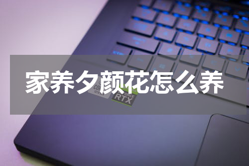 家养夕颜花怎么养