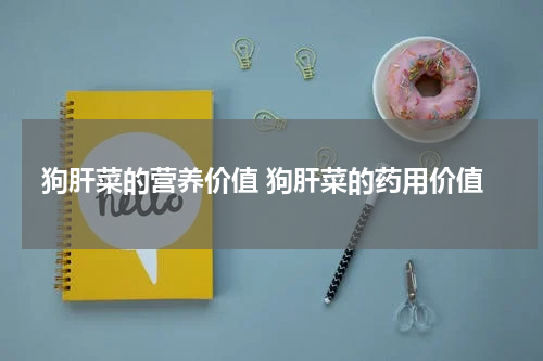 狗肝菜的营养价值 狗肝菜的药用价值