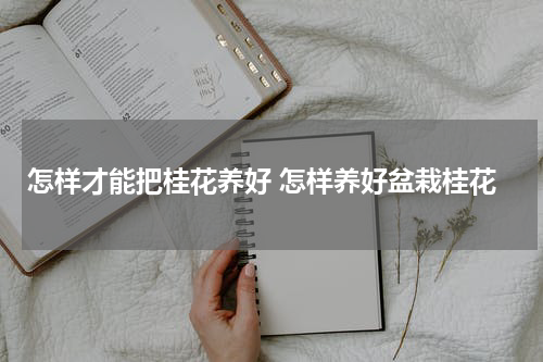 怎样才能把桂花养好 怎样养好盆栽桂花