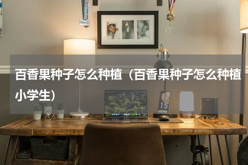 百香果种子怎么种植（百香果种子怎么种植小学生）