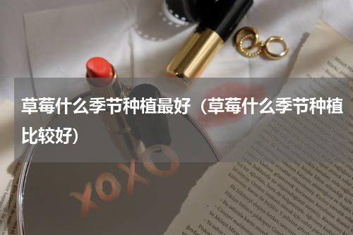 草莓什么季节种植最好（草莓什么季节种植比较好）