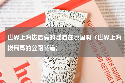 世界上海拔最高的隧道在哪国啊（世界上海拔最高的公路隧道）