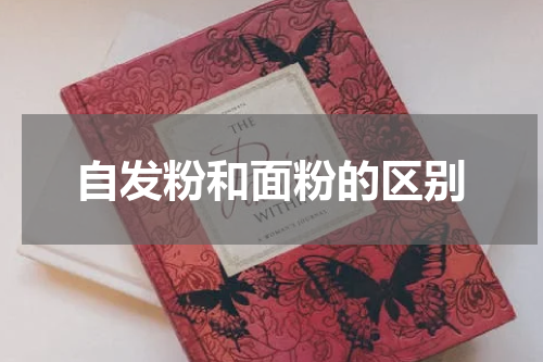 自发粉和面粉的区别