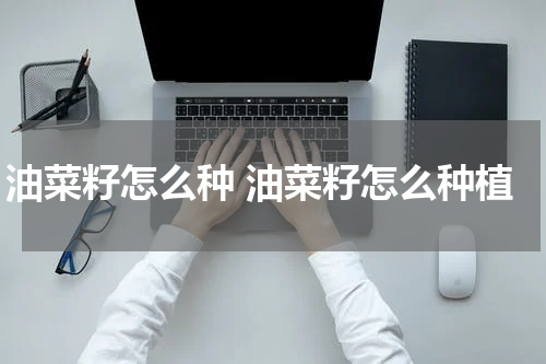 油菜籽怎么种 油菜籽怎么种植