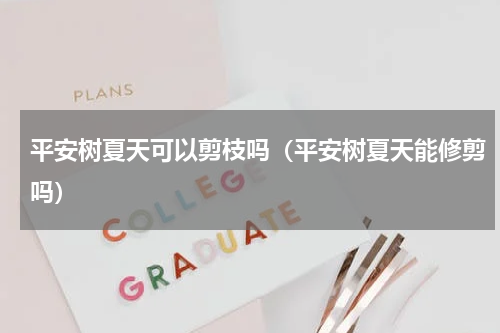 平安树夏天可以剪枝吗（平安树夏天能修剪吗）