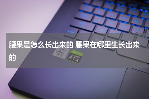 腰果是怎么长出来的 腰果在哪里生长出来的