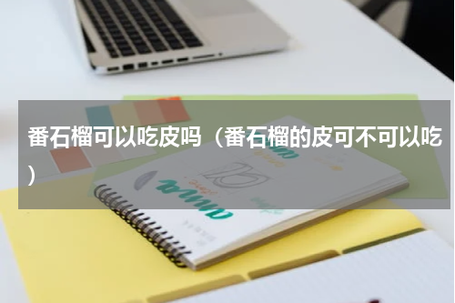 番石榴可以吃皮吗（番石榴的皮可不可以吃）