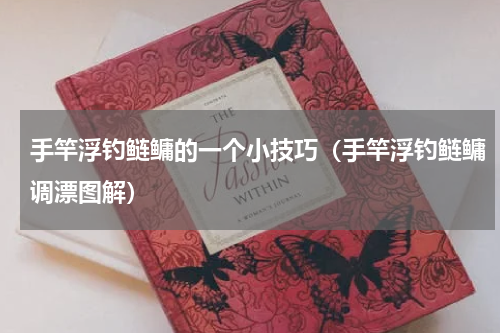 手竿浮钓鲢鳙的一个小技巧(手竿浮钓鲢鳙调漂图解)