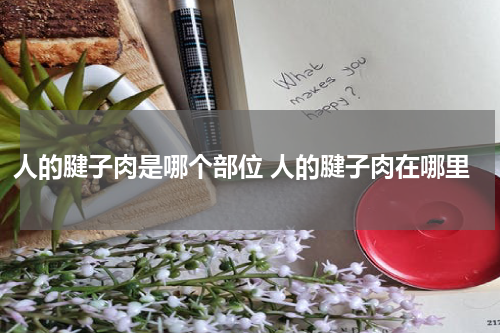 人的腱子肉是哪个部位 人的腱子肉在哪里