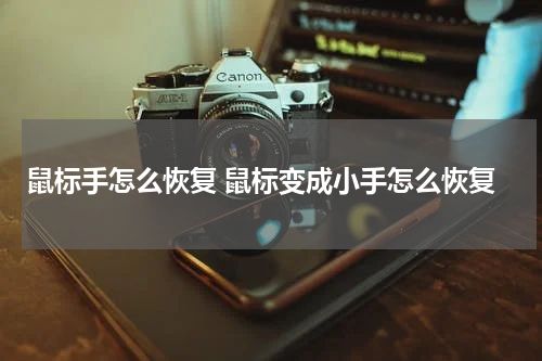 鼠标手怎么恢复 鼠标变成小手怎么恢复