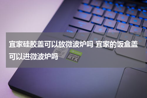 宜家硅胶盖可以放微波炉吗 宜家的饭盒盖可以进微波炉吗