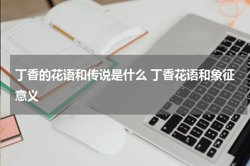 丁香的花语和传说是什么 丁香花语和象征意义