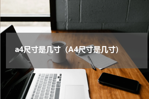 a4尺寸是几寸（A4尺寸是几寸）