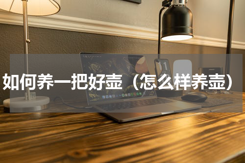 如何养一把好壶（怎么样养壶）